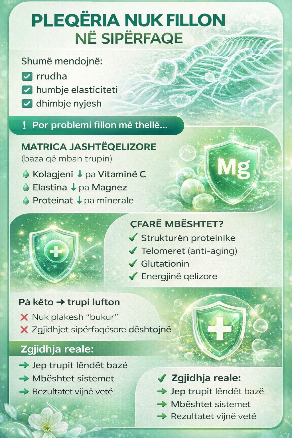 Magnezi dhe pleqëria