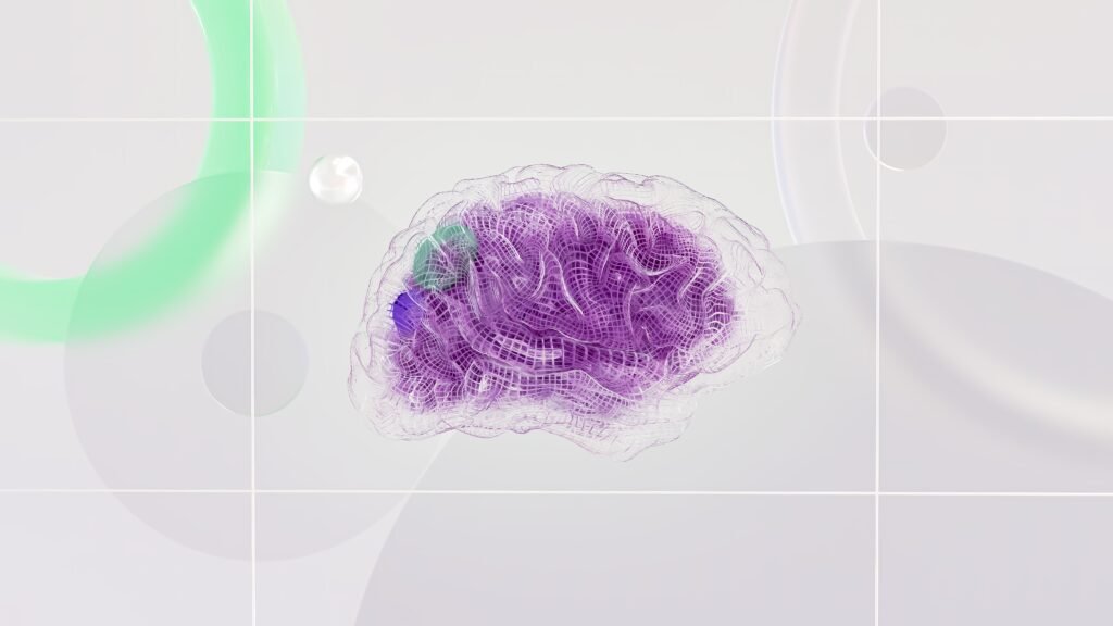 Neuro-Mind Protocol: Kur biokimia takon performancën e lartë mendore