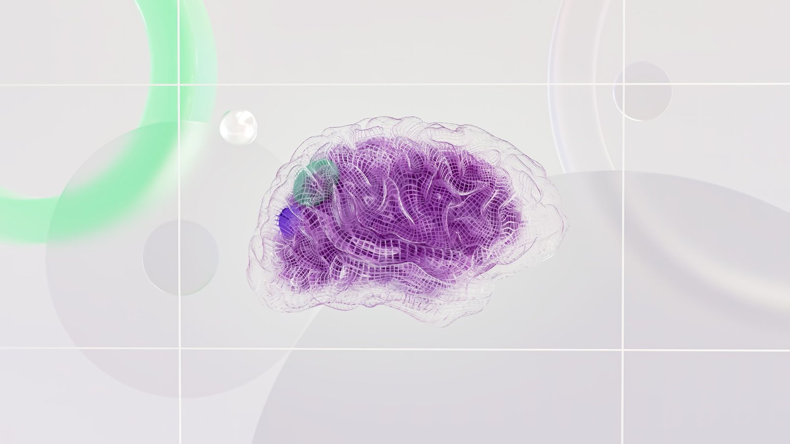 Neuro-Mind Protocol: Kur biokimia takon performancën e lartë mendore